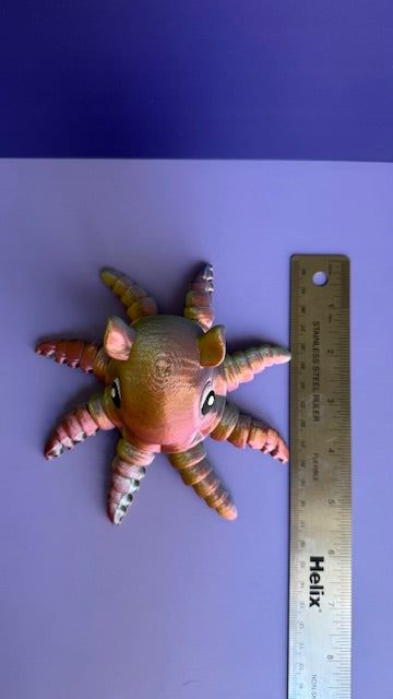 Flapjack Octopus